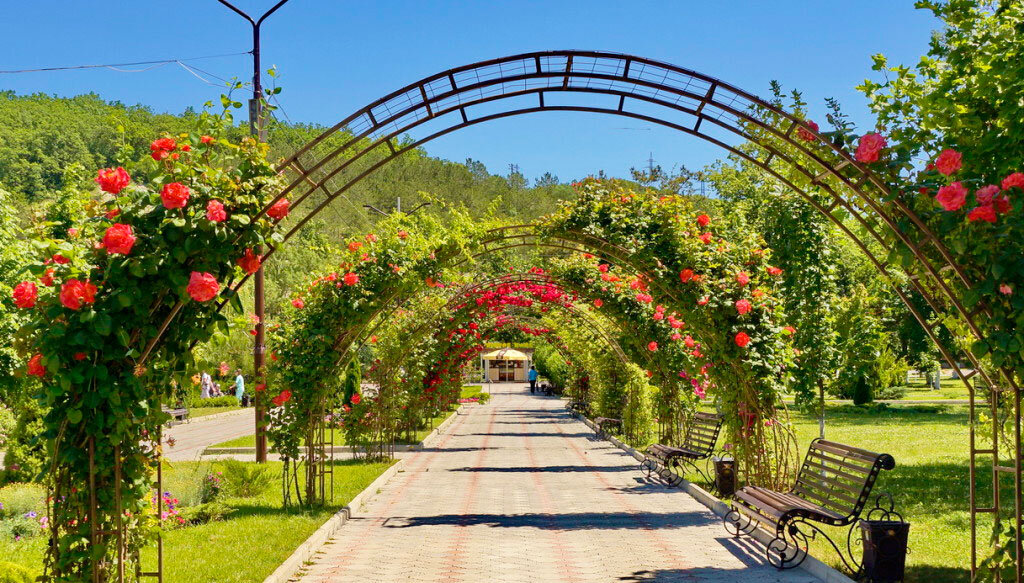 Фото взято с открытых источников