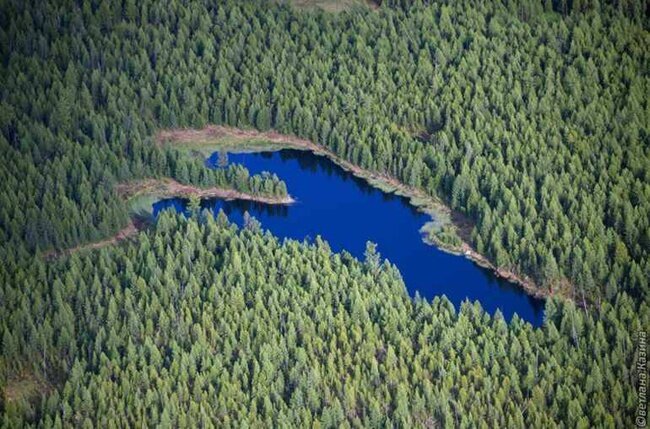 фото из Яндекс картинки