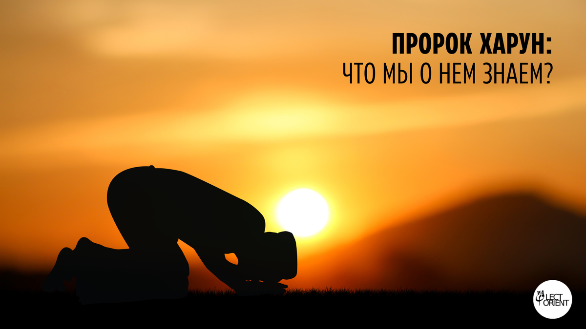 Фото взято из открытого фотостока Canva