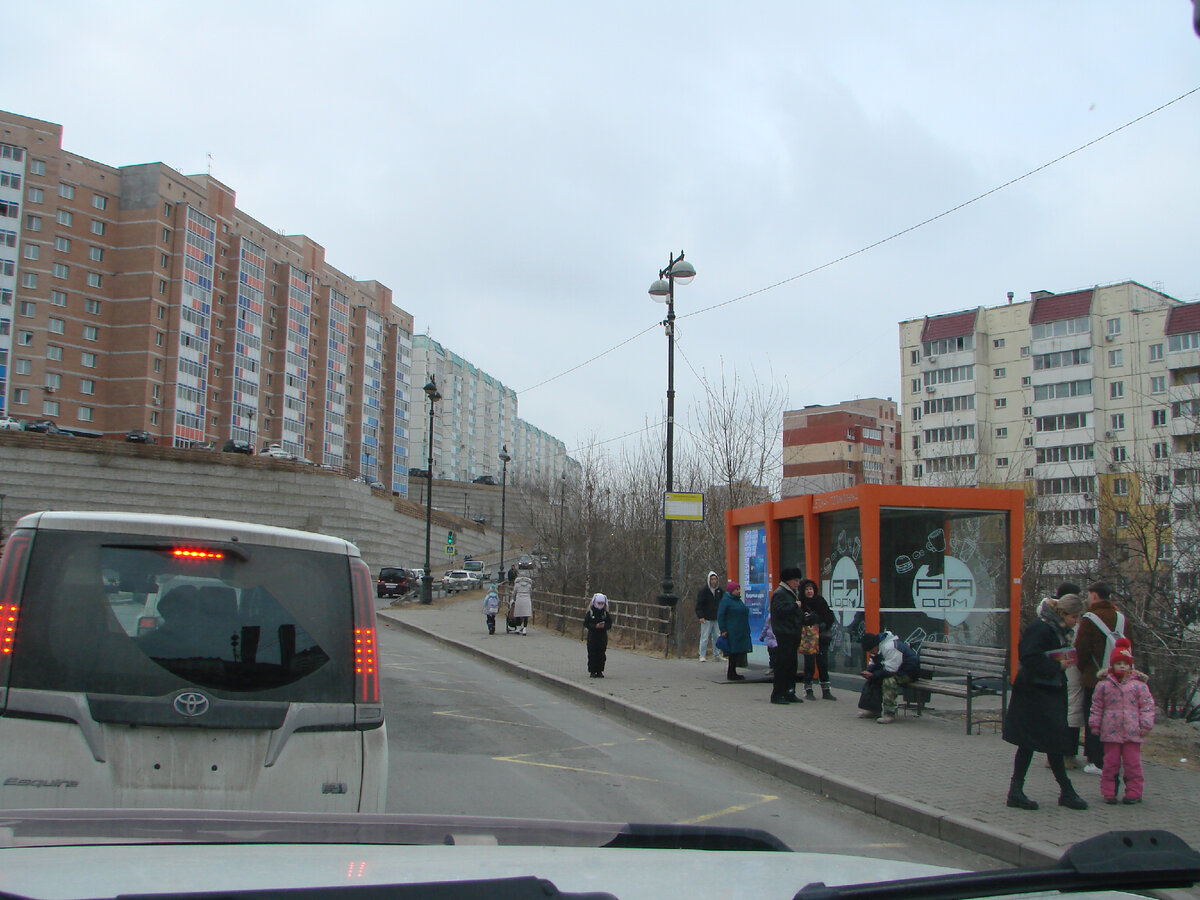 Край, в котором мы живем. Приморский край. Владивосток. Снеговая Падь. |  Осока Шелестящая | Дзен