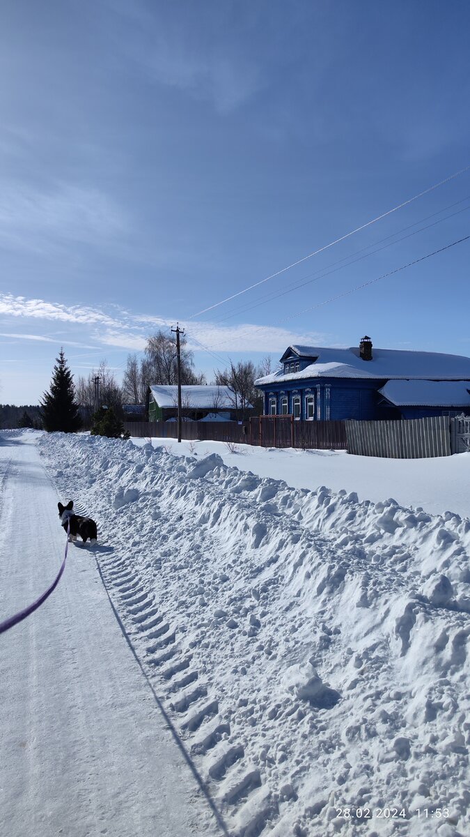 Рис. 1. Зима ещё здесь