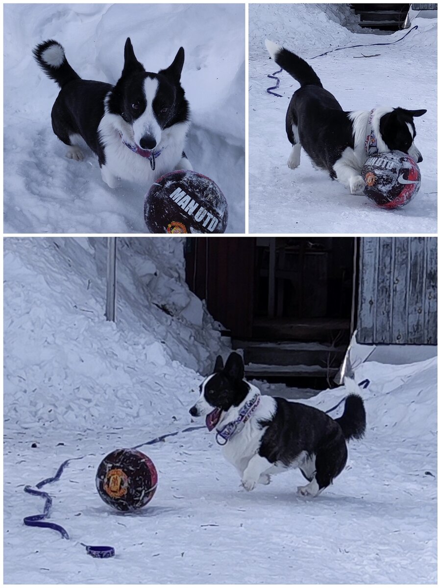 Рис. 2. Сам себе футболист!