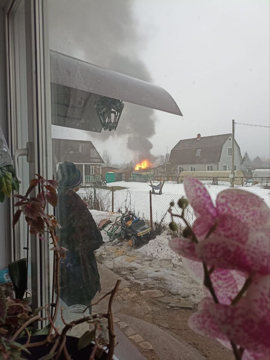 Фото соседей, которое мне удалось получить