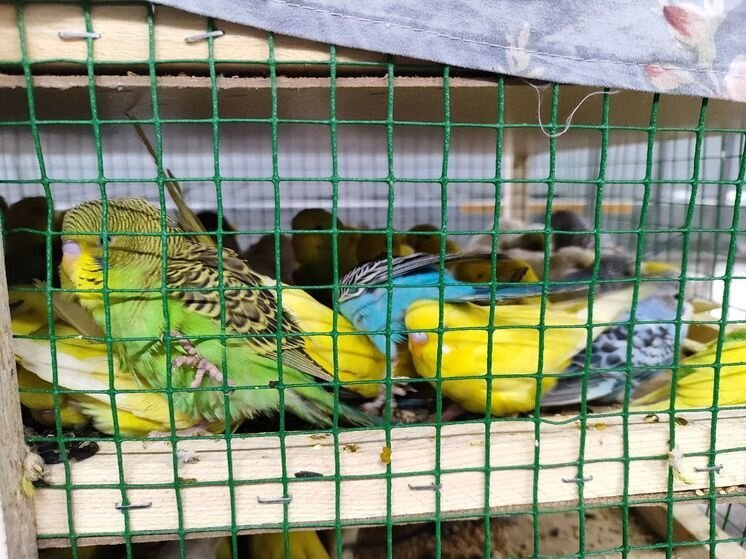     фото: пресс-служба Уральского таможенного управления