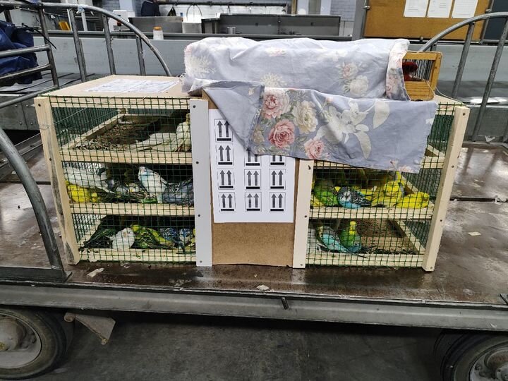     фото: пресс-служба Уральского таможенного управления