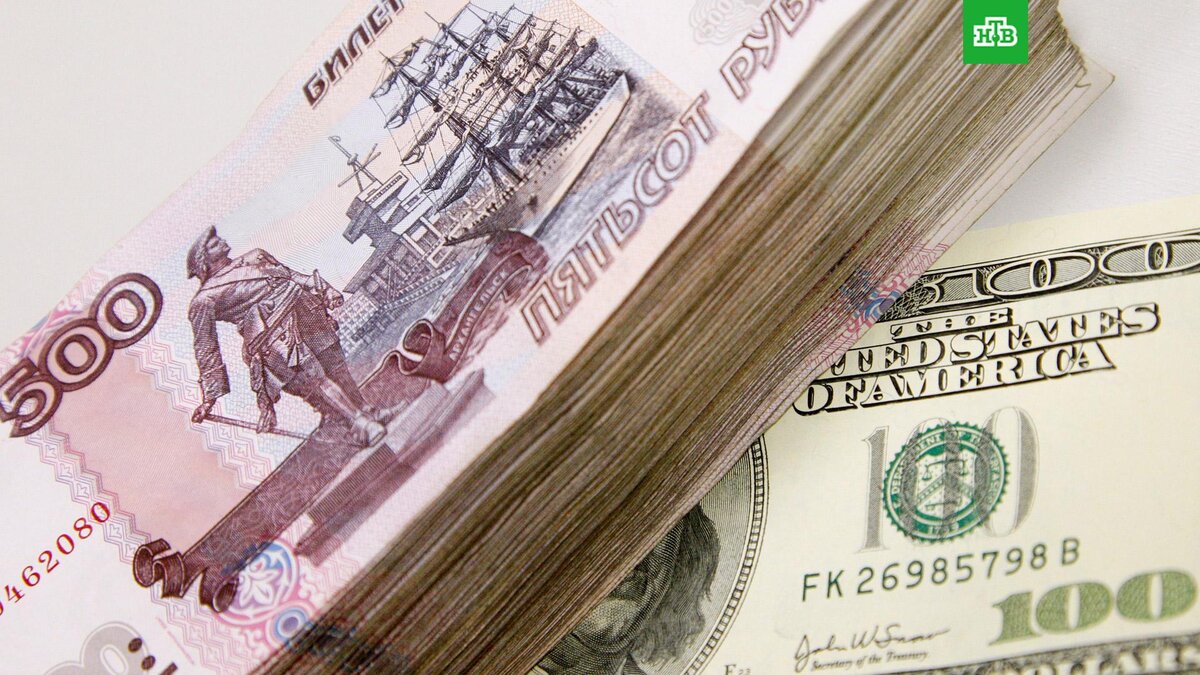    Фото: РИА Новости © 2024, Антон Денисов