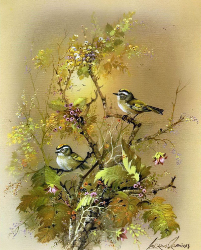 Источник изображения : passionforum.ru