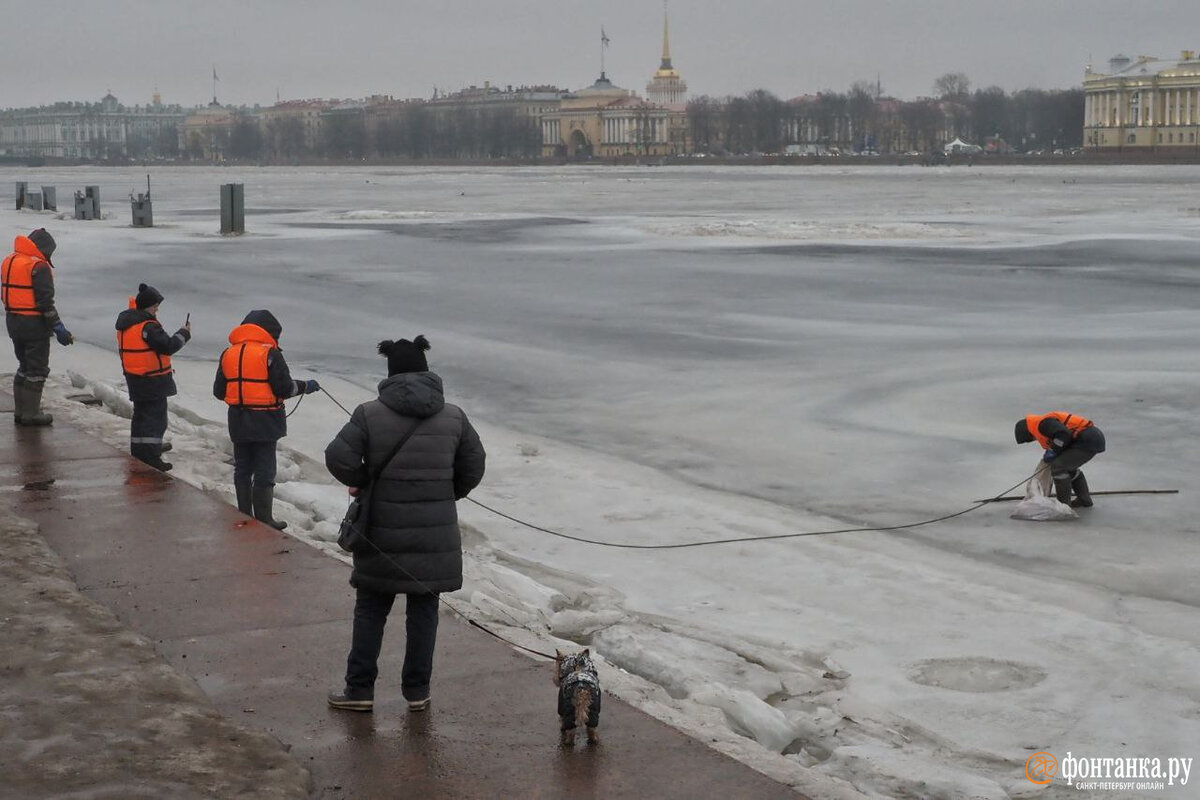 Первые весенние выходные петербуржцы проведут в тепле и почти без осадков.  Читайте на 