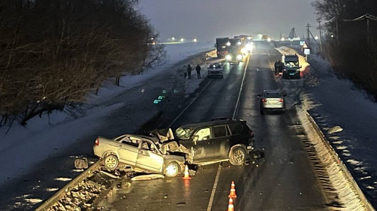    Фото: Пресс-служба ГУ МВД России по Московской области