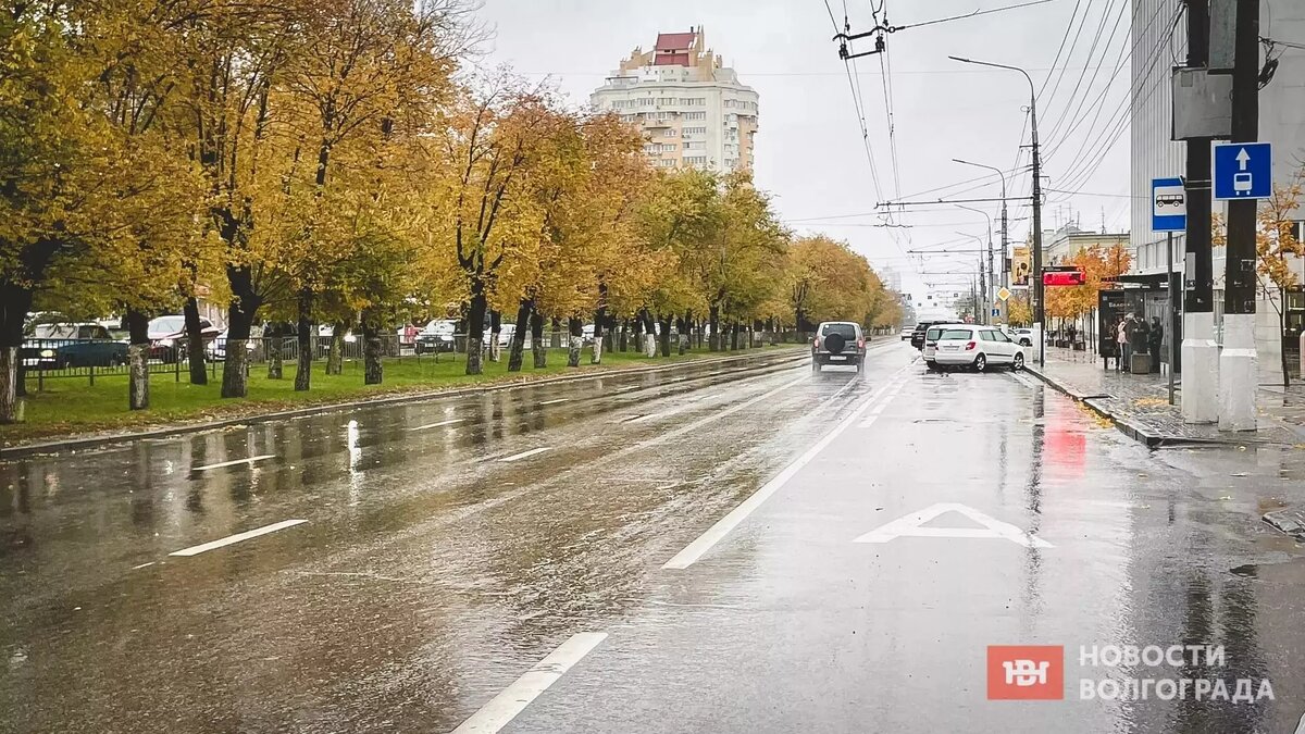     Стали известны общественные пространства Волгоградской области, которые ждут благоустройства. В нашем регионе выбрано 28 территорий в девяти городах.