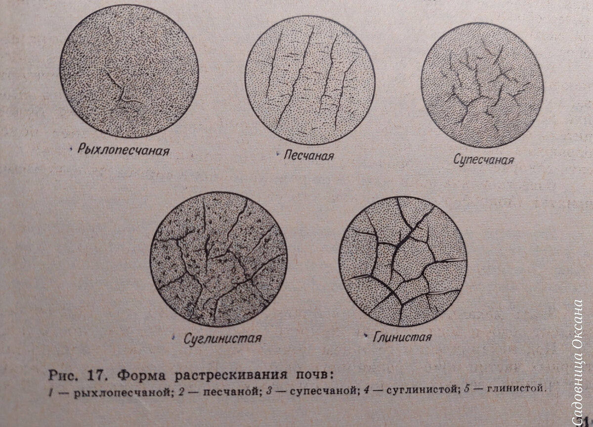 Форма растрескивания почвы
