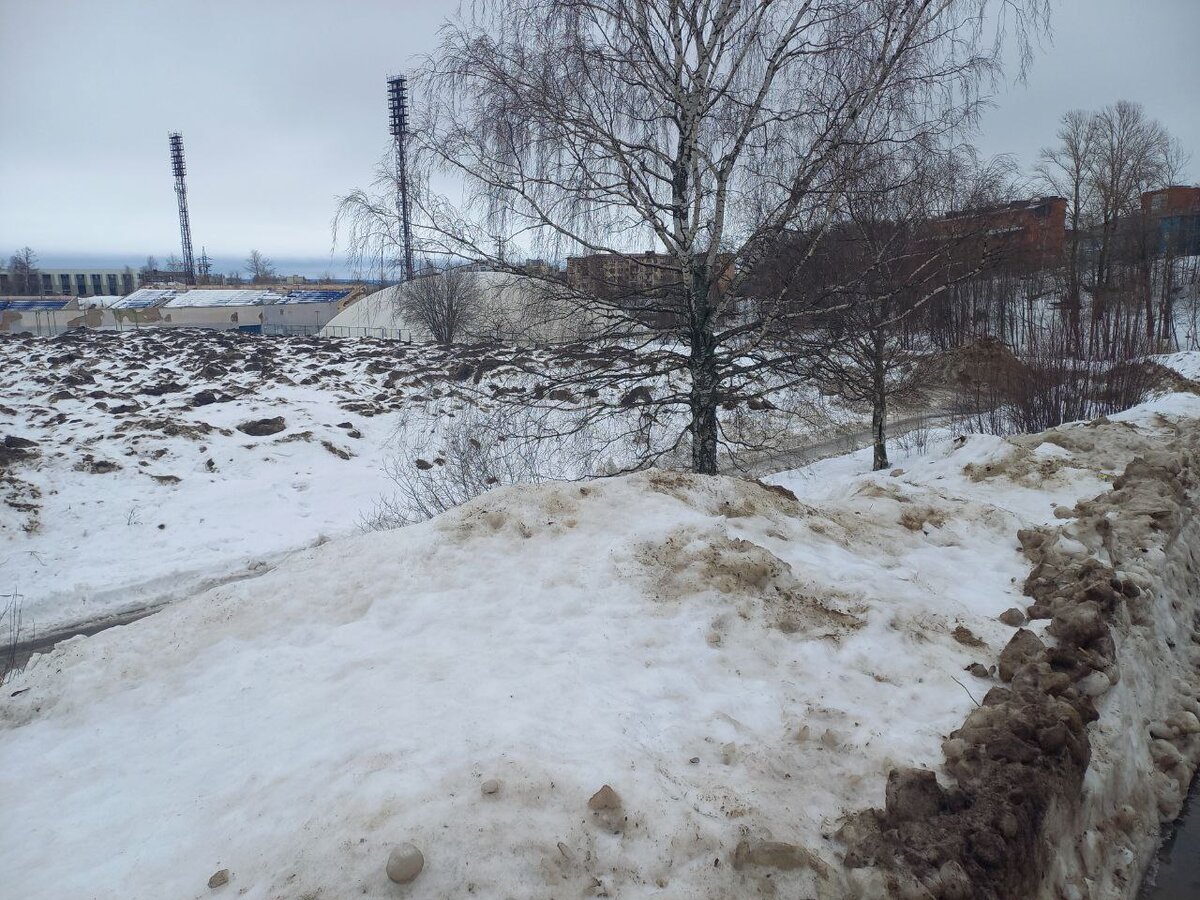    Коричневый снег начали вывозить со стадиона «Спартак» в ПетрозаводскеКсения Сорокина