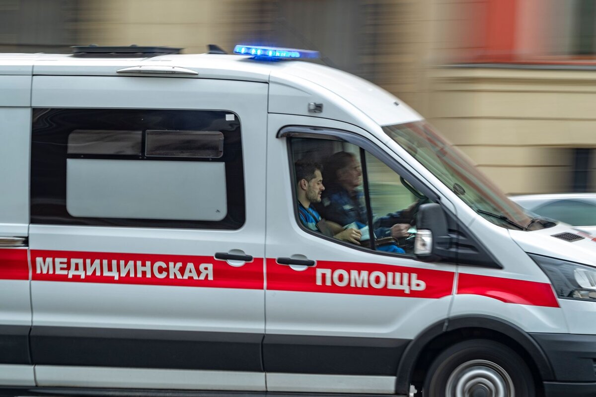    © Константин Кокошкин/ИЗВЕСТИЯ