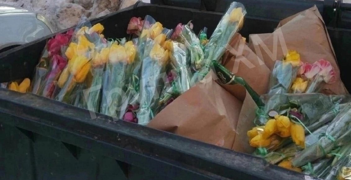    Фото из открытых источников