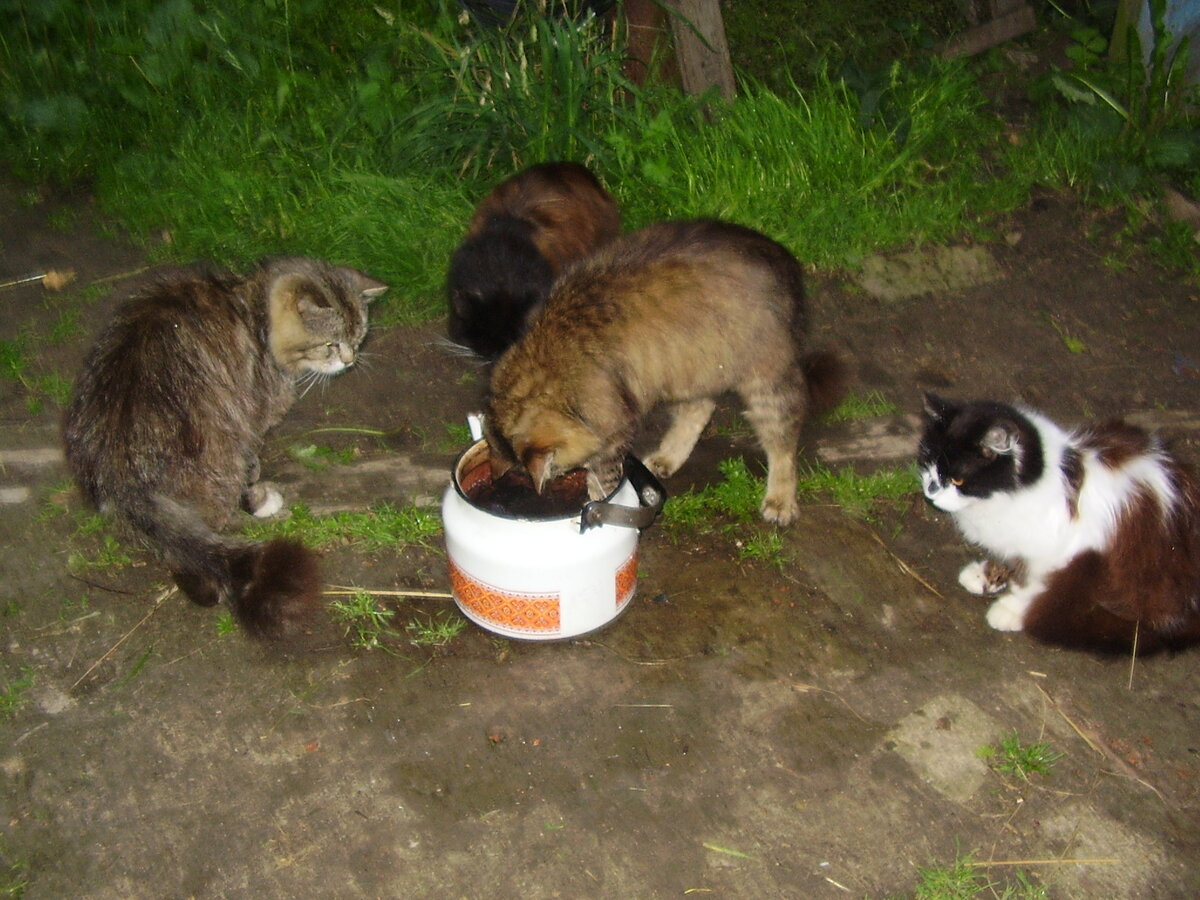 На рыбалке.