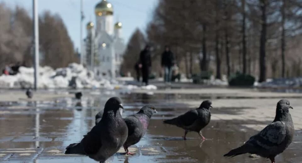    РИА «Новости»