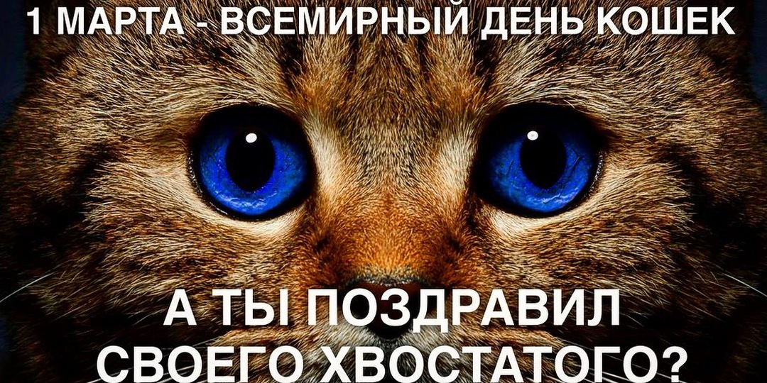 Поздравляем Всех с первым днём Весны! И всемирным днём Кошек!