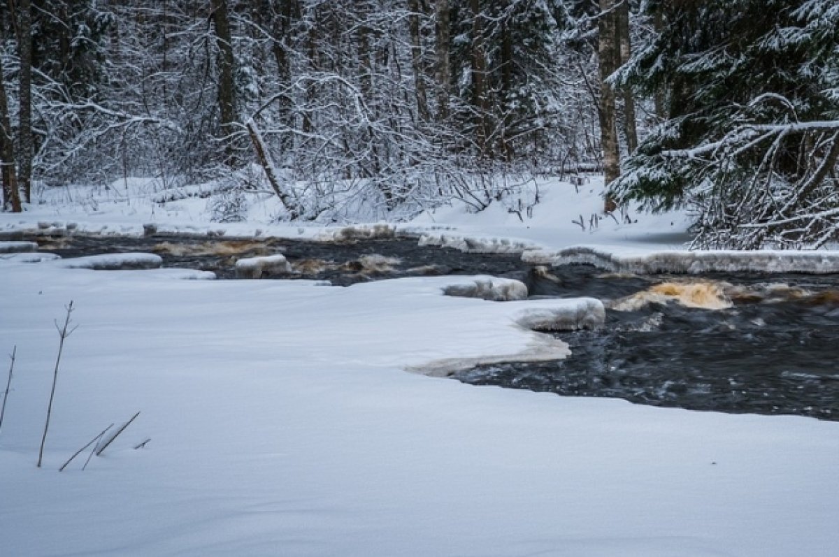    Челябинский гидрометцентр: «Паводок может пойти по напряженному сценарию»