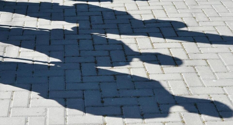    РИА «Новости»