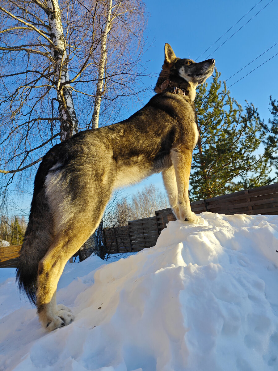 Я ищу я делаю из себя человека иосиф бродский. Девушка убегает. Я так давно бегу. Утренняя пробежка. Я так давно бегу.