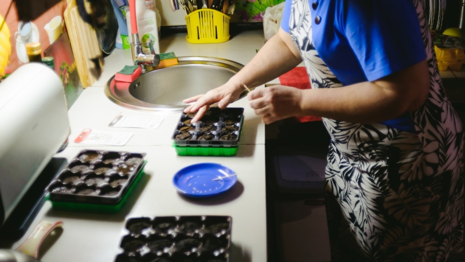 «Хитрый» посев перца! Бабушка — соседка передала мне свои знания (урожай вывожу телегами)