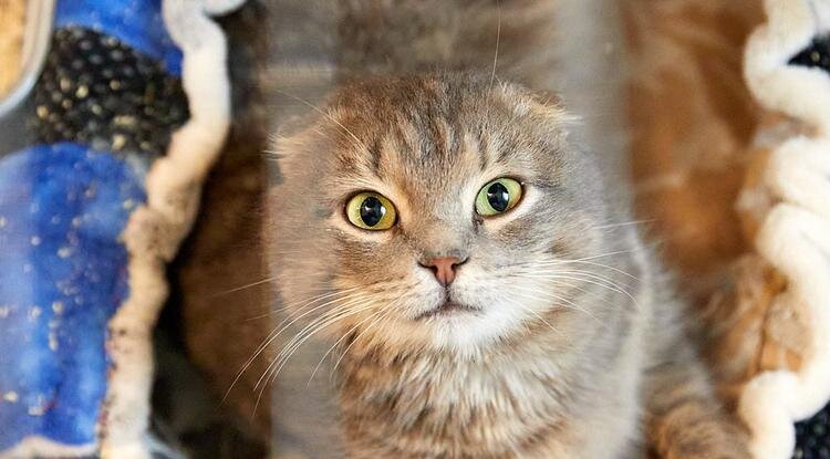 Фото: Елена Журавлёва