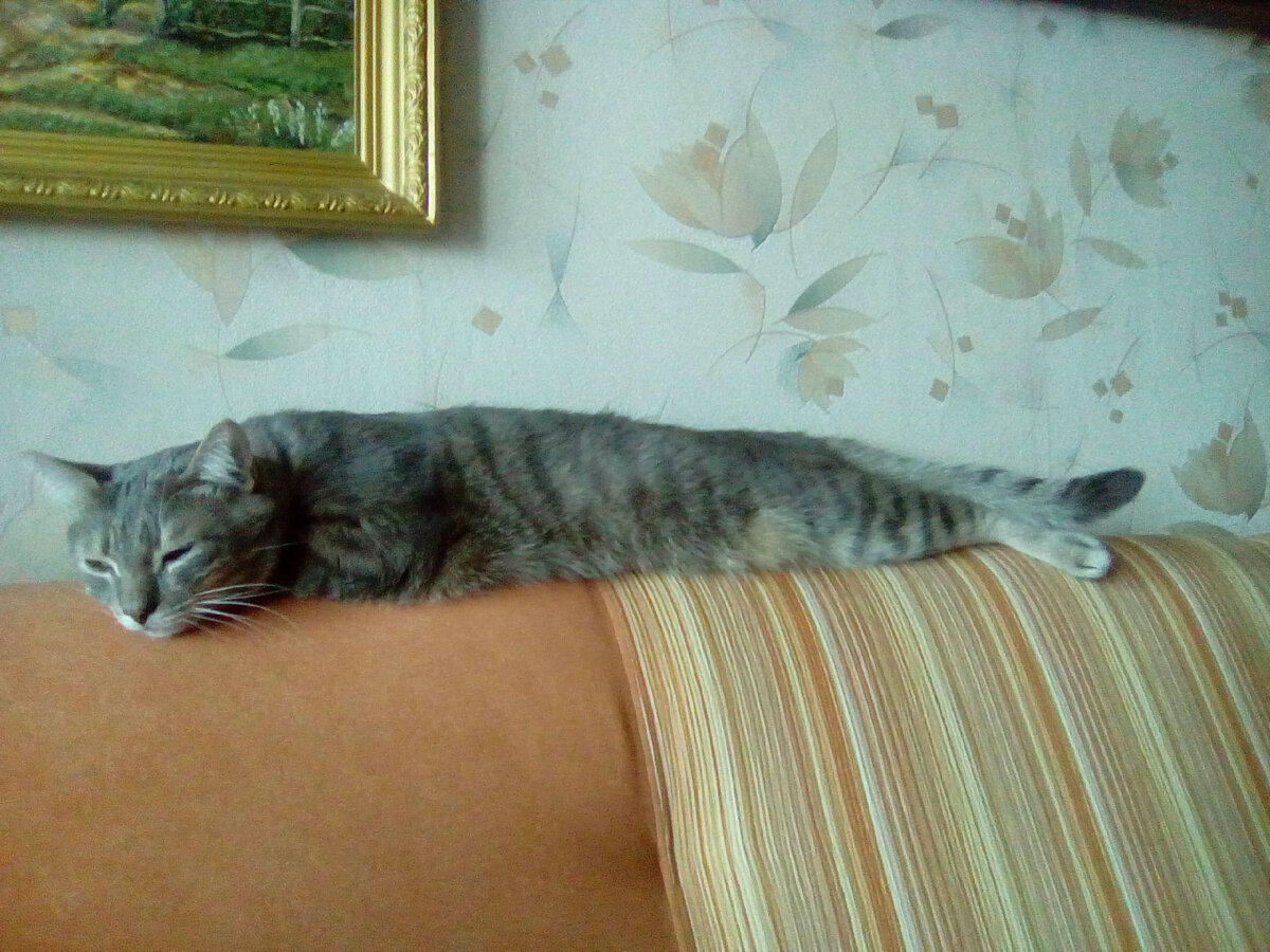 Это уже январь 2021