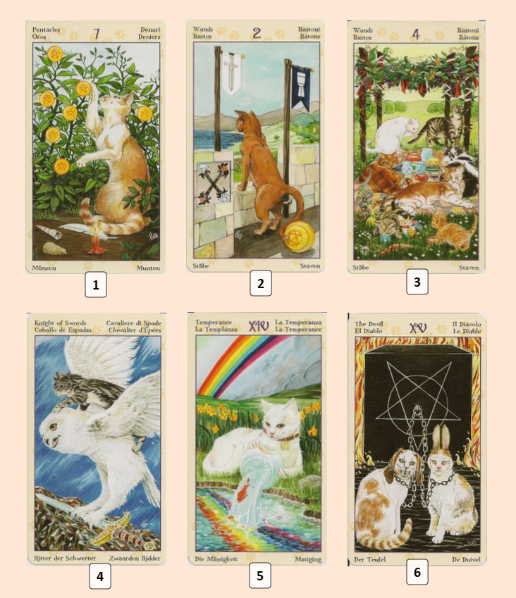 Расклад на Таро Языческих кошек