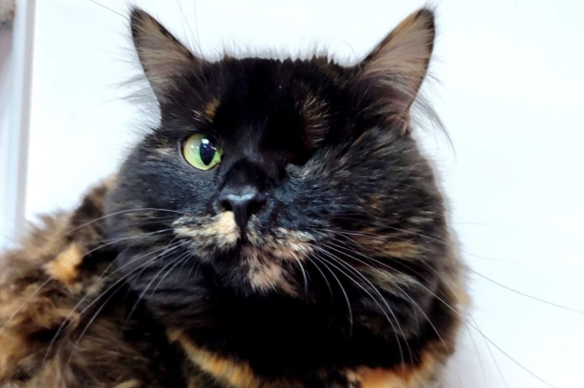    Пиратка Женя лишилась левого глаза из-за подозрения на онкологию.