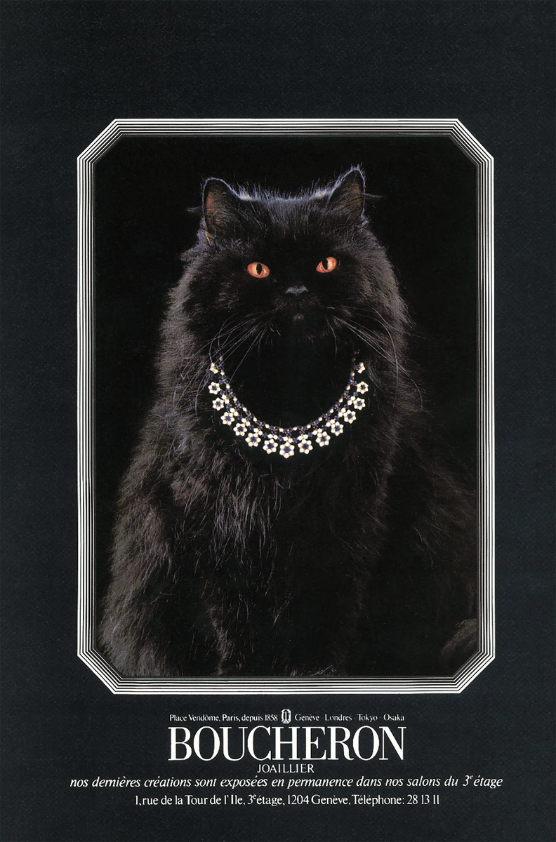 На презентационной листовке Бушерон красуется прекрасный кот в бриллиантовом колье