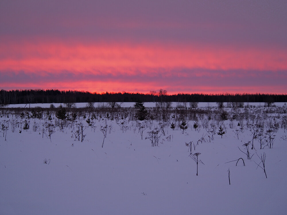 Это снимок сделал прямо с трассы.