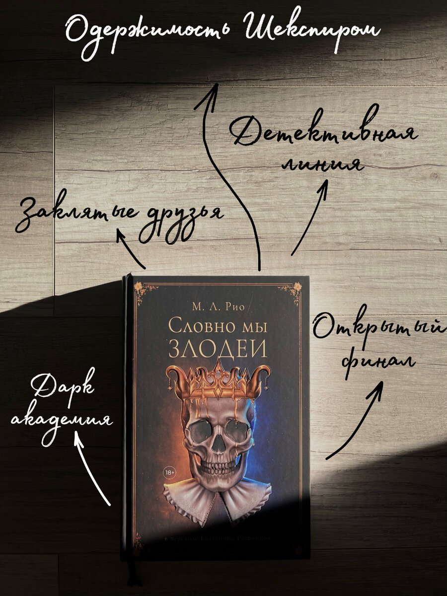 Что стоит ожидать от книги "Словно мы злодеи" М. Л. Рио