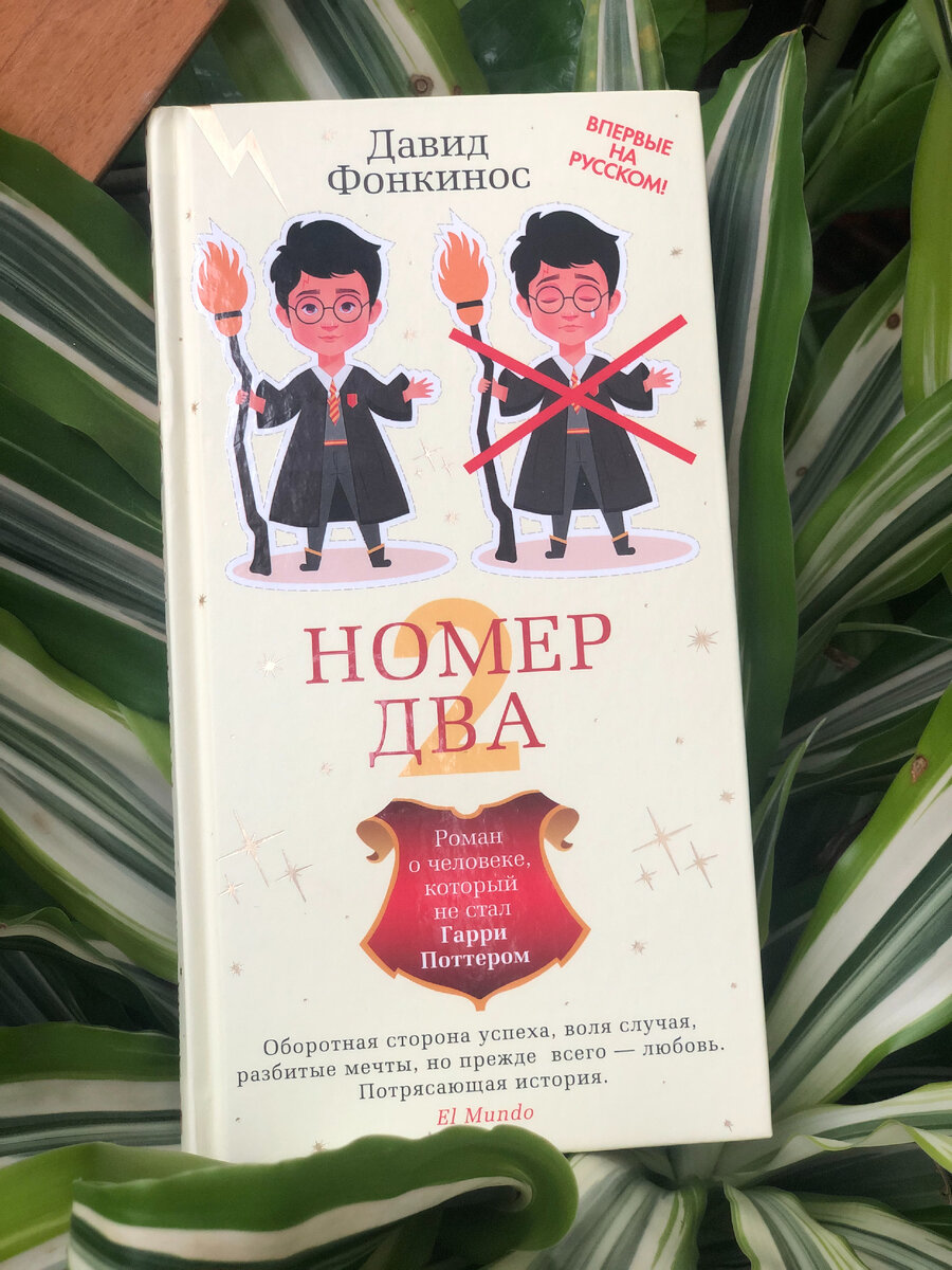 Давид Фонкинос «Номер два. Роман о человеке, который не стал Гарри Поттером.» Обложка книги у нас. 