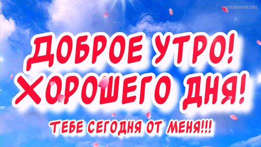 Открытки с добрым утром | Открытки, поздравления и рецепты | Дзен