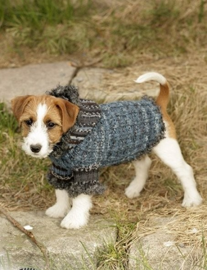 Вяжем одежду для собак – Книжный интернет-магазин malino-v.ru Polaris