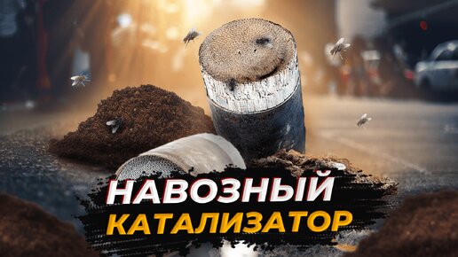 Как изобрели катализатор из навоза?