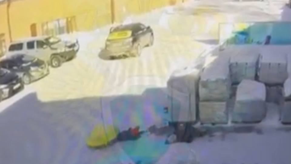 Фото: © Скриншот видео