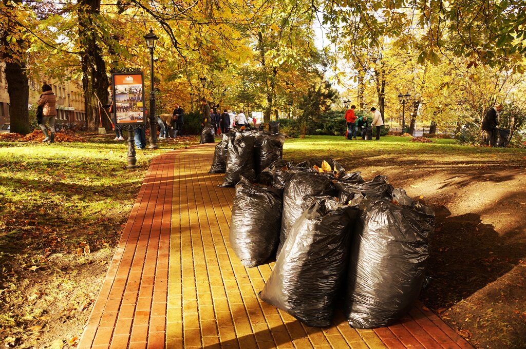 картинка взята с сайта https://yandex.ru/images/search?from=tabbar&img_url=https%3A%2F%2Fsun9-48.userapi.com%2FZqUmrPSFgnyLWURiSiv-hW37gAww7BUjIsGHSQ%2FyP14UWibBA0.jpg&lr=56&p=1&pos=10&rpt=simage&text=%D1%83%D0%B1%D0%BE%D1%80%D0%BA%D0%B0%20%D0%BF%D0%B0%D1%80%D0%BA%D0%B0%20%D0%BA%D1%80%D0%B0%D1%81%D0%B8%D0%B2%D0%B0%D1%8F%20%D0%BA%D0%B0%D1%80%D1%82%D0%B8%D0%BD%D0%BA%D0%B0