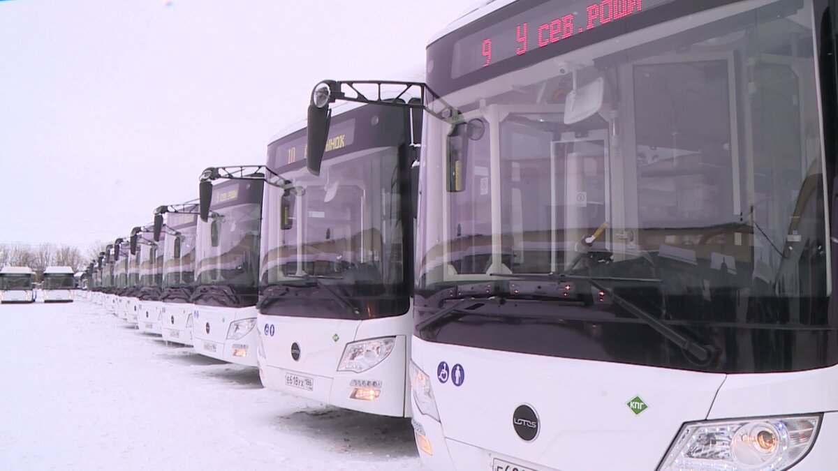 В Нижневартовске вышли на линию 80 новых автобусов | ГТРК Югория | Дзен