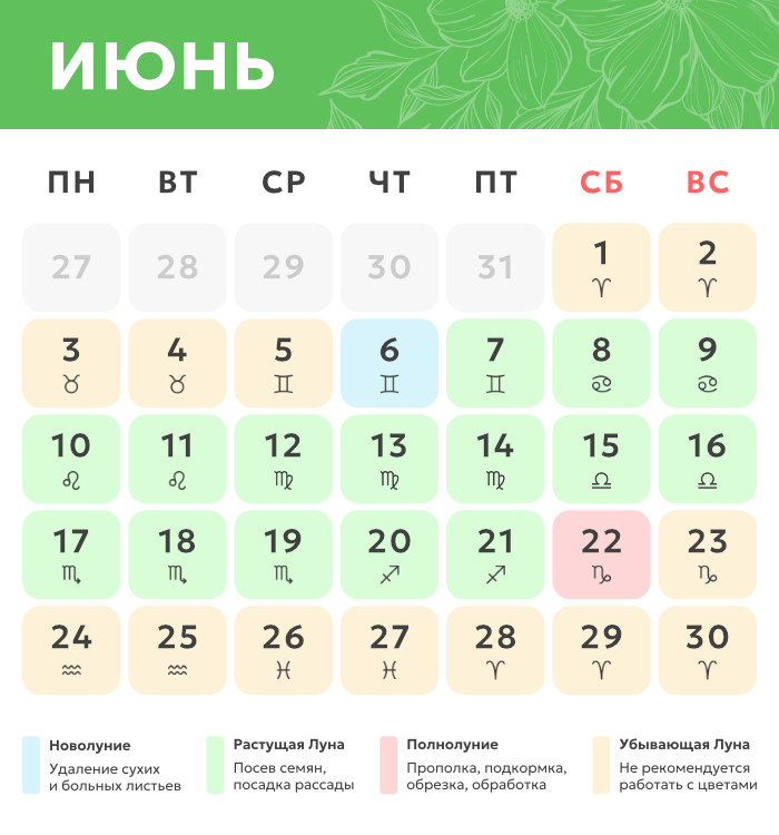 Лунные дни в сентябре 2024