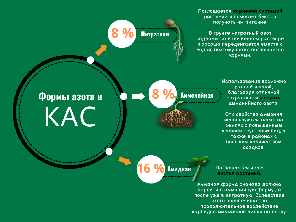 КАС и биурет: открываем правду о питании растений! Часть 1 | АгроСтройТорг  | Емкости, Растворные узлы ЖКУ, СЗР | Дзен