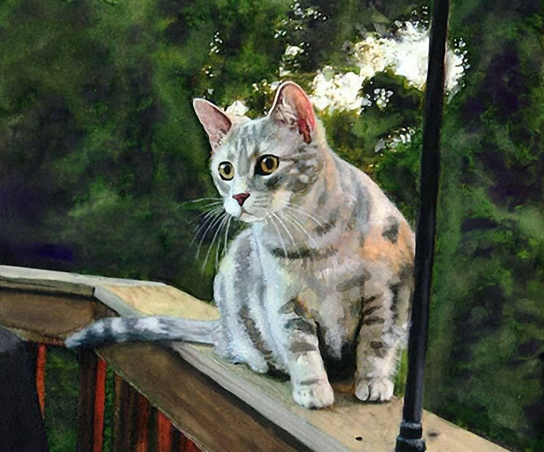 На прогулке