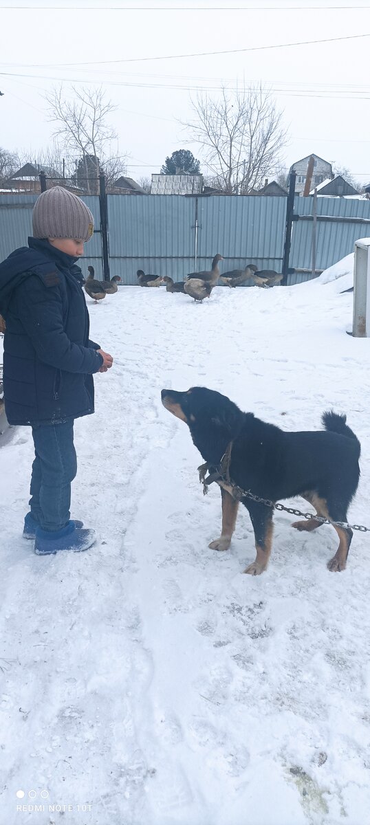 ))) беседуют.
