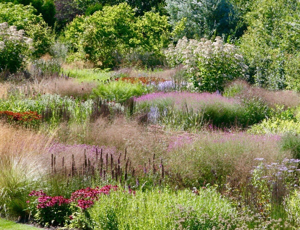 Сад в природном стиле Пита Удольфа Naturgarden - возможен ли на дачном  участке в Подмосковье? | Садовые затеи | Дзен