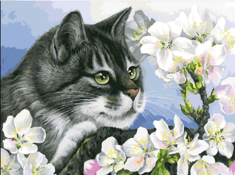 ����� ��������� �������� ������ ��������