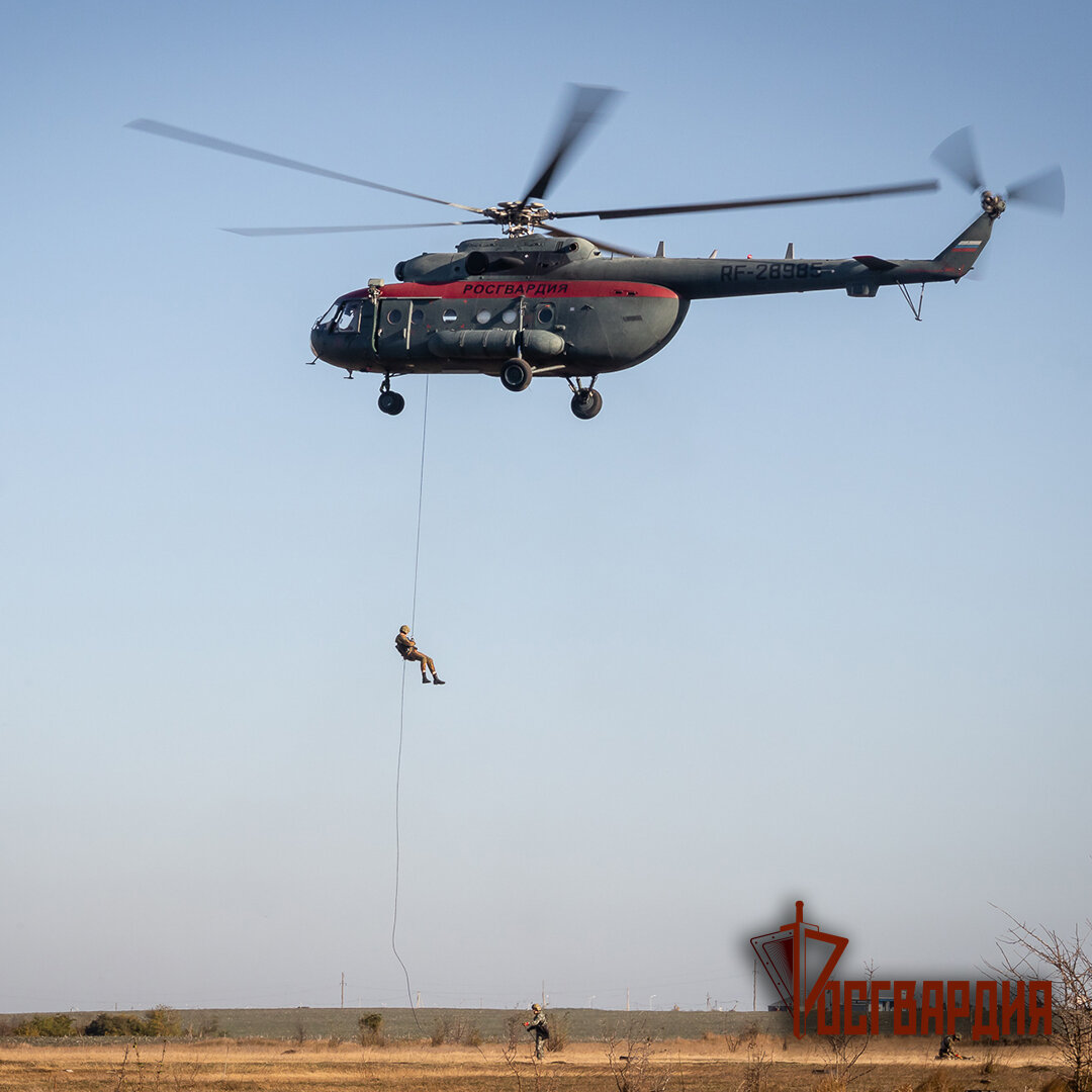 Сотрудники СОБР «Беркут-Юг» Главного управления Росгвардии по Краснодарскому краю
