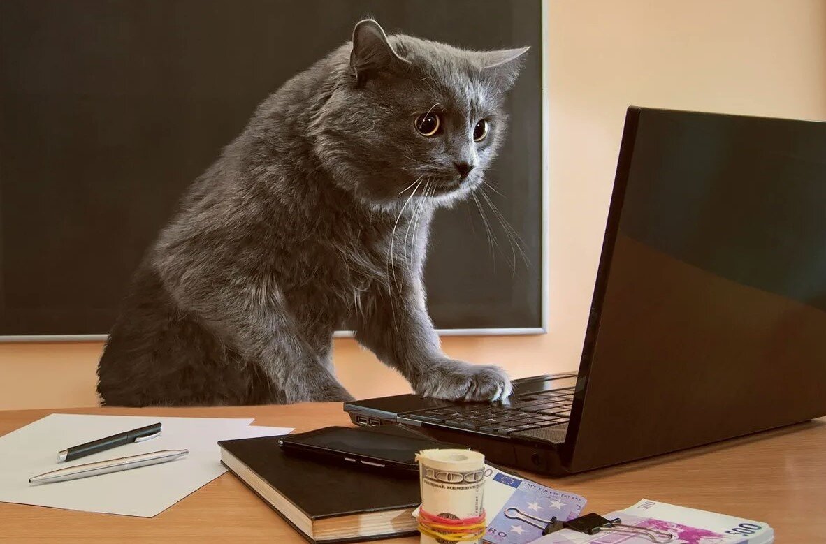 Иллюстрация - Яндекс Картинки