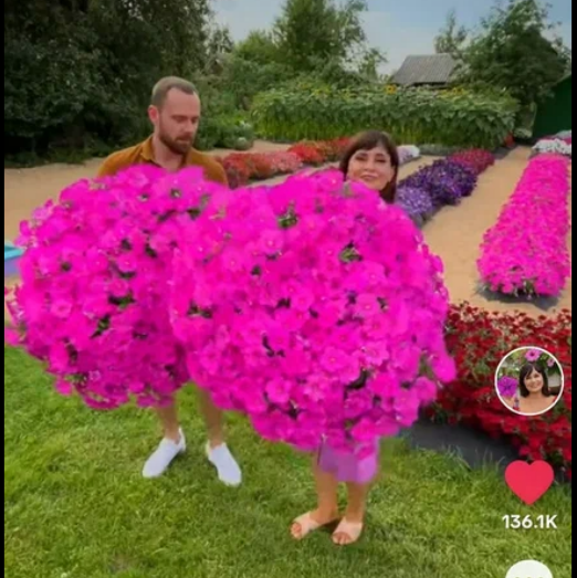 Скрин видео из Тик-Тока