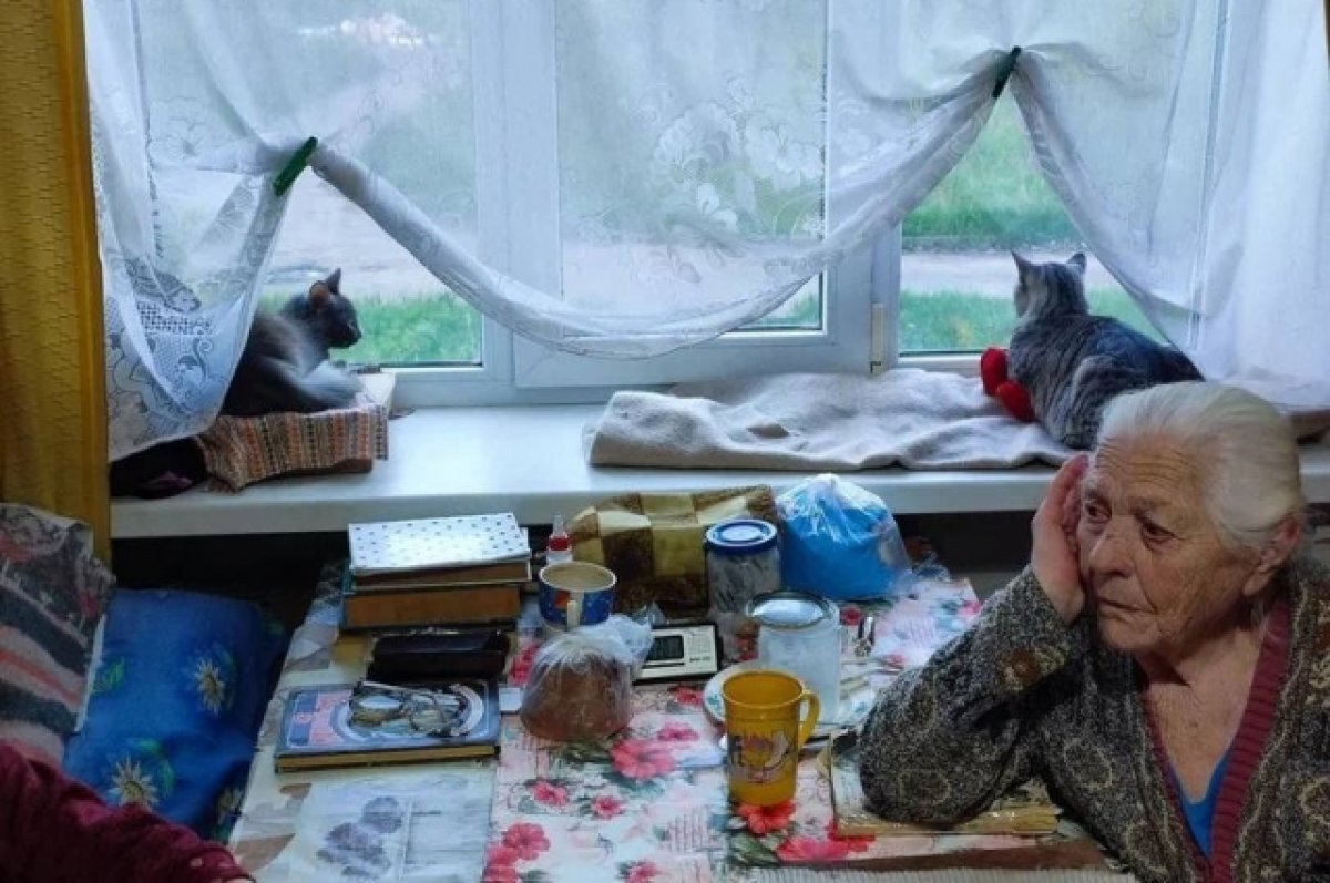    Тверские волонтёры рассказали о животных, спасённых хозяевами из зоны СВО