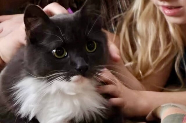    Фото: Инициативная группа по защите животных г. Твери